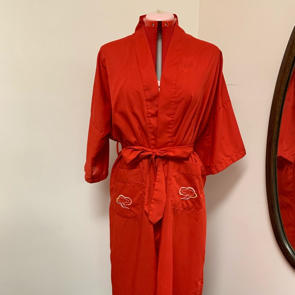 1950s Health Chinese Dragon Burlesque Robe